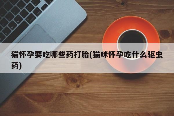 打胎药正品包邮联系方式猫怀孕要吃哪些药打胎(猫咪怀孕吃什么驱虫药)