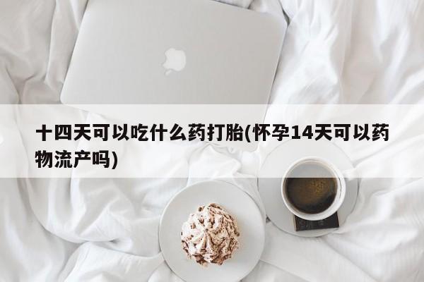 打胎药正品包邮联系方式十四天可以吃什么药打胎(怀孕14天可以药物流产吗)